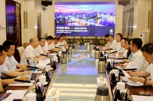 王瑞軍與中誠信善國際投資管理及中農聯控股一行座談 聚焦對外投資與管理合作新機遇