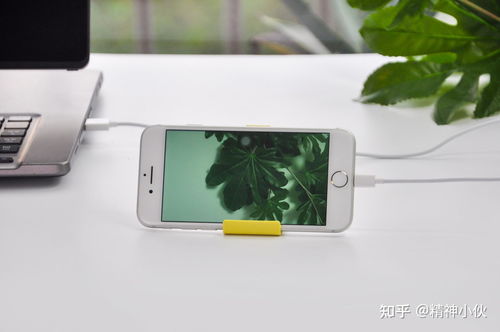 2021年蘋果產(chǎn)品選購(gòu)指南 iPhone、iPad、iWatch、AirPods全方位解析及軟件設(shè)計(jì)開發(fā)推薦